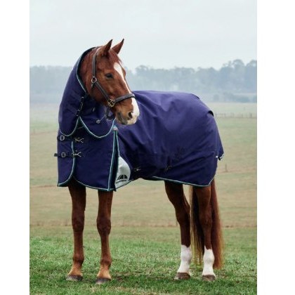 Weatherbeeta Comfitec Plus Dynamic Detach-A-Neck - 100g Weatherbeeta Comfitec Plus Dynamic Detach-A-Neck - 100g