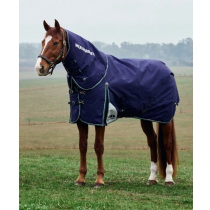 Weatherbeeta Comfitec Plus Dynamic Detach-A-Neck - 0g Weatherbeeta Comfitec Plus Dynamic Detach-A-Neck - 0g