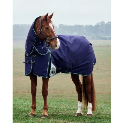 Weatherbeeta Comfitec Plus Dynamic Detach-A-Neck - 0g Weatherbeeta Comfitec Plus Dynamic Detach-A-Neck - 0g
