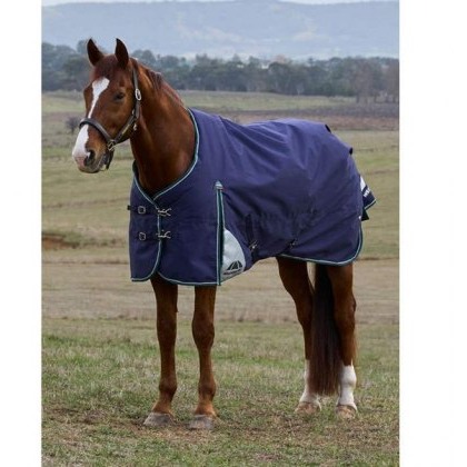 Weatherbeeta Comfitec Plus Dynamic Standard Neck - 0g Weatherbeeta Comfitec Plus Dynamic Standard Neck - 0g