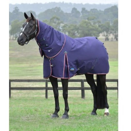 Weatherbeeta Comfitec Essential Detach-A-Neck - 50g Weatherbeeta Comfitec Essential Detach-A-Neck - 50g