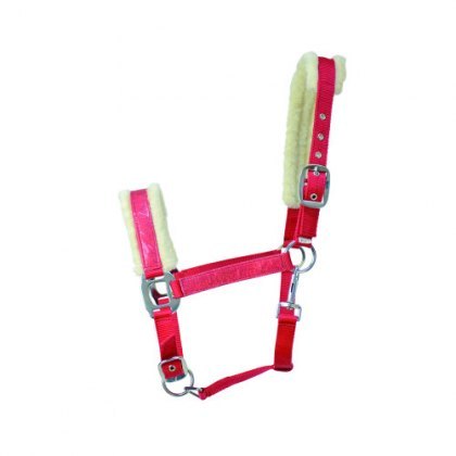 Hy Christmas Santa Headcollar