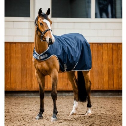 Amigo Ripstop 900D Walker Rug - 100g Amigo Ripstop 900D Walker Rug - 100g