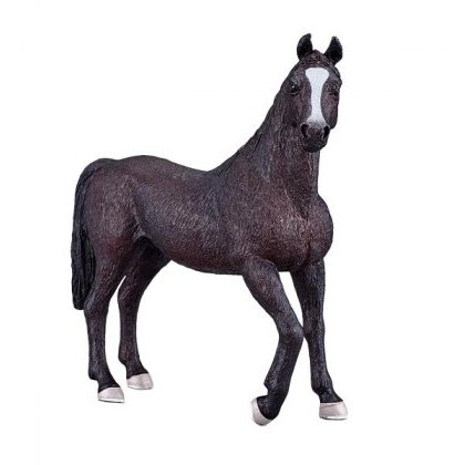 Mojo: Arabian Stallion Black