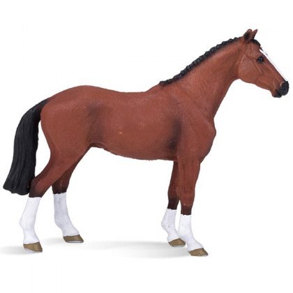 Mojo: Dutch Warmblood