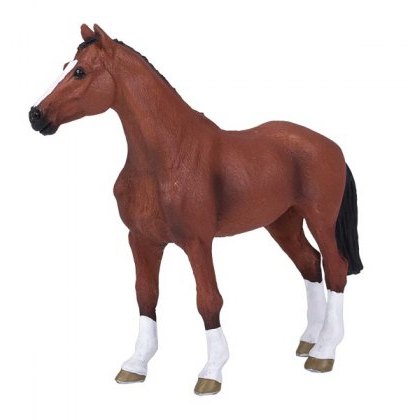 Mojo: Dutch Warmblood
