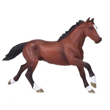 Mojo: Thoroughbred