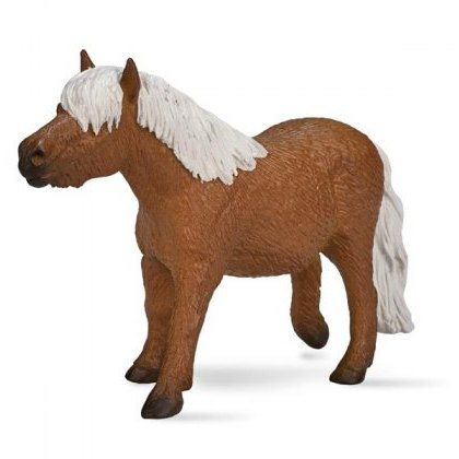 Mojo: Shetland Pony