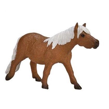 Mojo: Shetland Pony