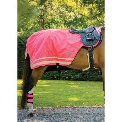 Woof Wear Winter Hi Vis Exercise Sheet Woof Wear Winter Hi Vis Exercise Sheet