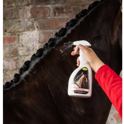 Smart Grooming Perfect Plaits Smart Grooming Perfect Plaits