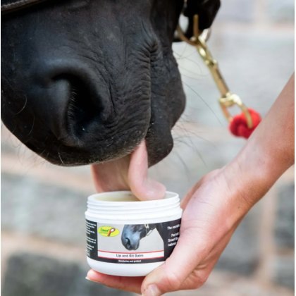 Smart Grooming Lip & Bit Balm Smart Grooming Lip & Bit Balm