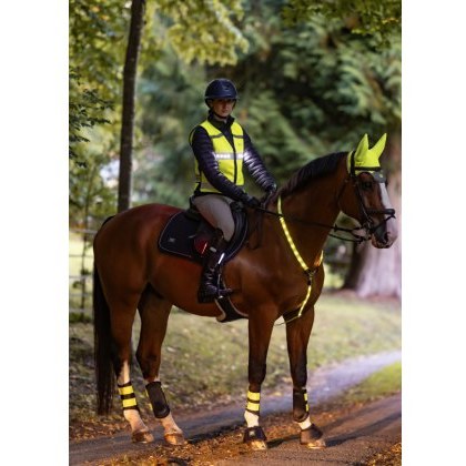 Woof Wear LED Neck Band - Hi Vis Yellow
