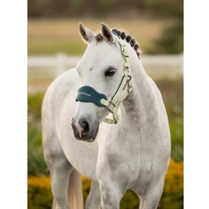 LeMieux Mini Vogue Headcollar & Leadrope - Macaron