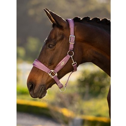 LeMieux Versailles Headcollar - Mallow LeMieux Versailles Headcollar - Mallow
