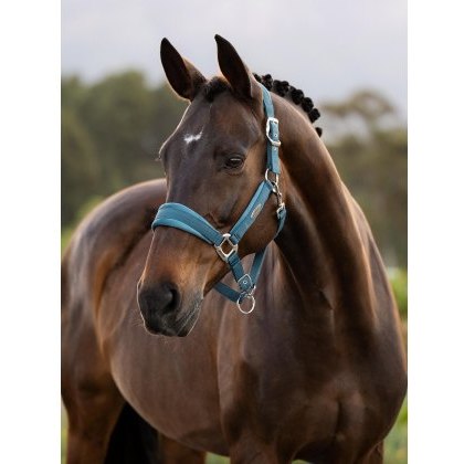 LeMieux Versailles Headcollar - Jungle LeMieux Versailles Headcollar - Jungle
