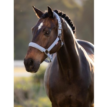 LeMieux Essence Headcollar - Powder Blue LeMieux Essence Headcollar - Powder Blue