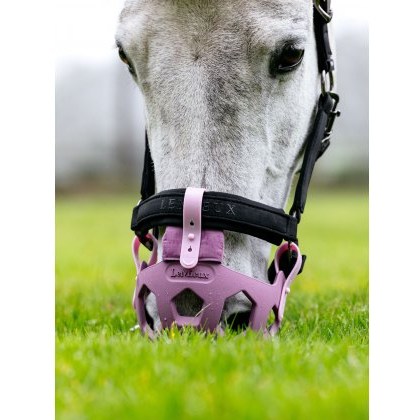 LeMieux Noma Grazing Muzzle - Mallow
