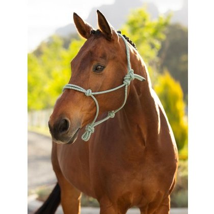 LeMieux Rope Halter - Macaron