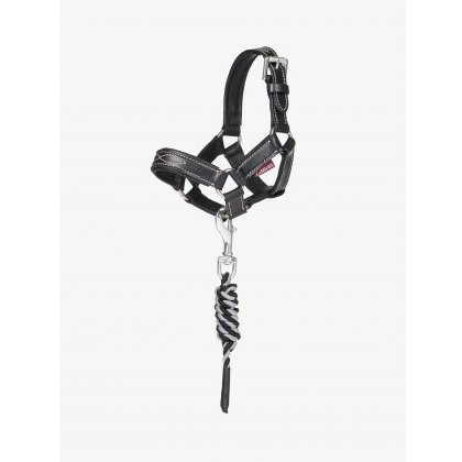 LeMieux Toy Pony Leather Headcollar & Rope - Black LeMieux Toy Pony Leather Headcollar & Rope - Black