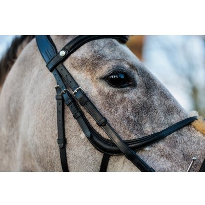 Ecorider Seamfree Grackle Bridle Ecorider Seamfree Grackle Bridle