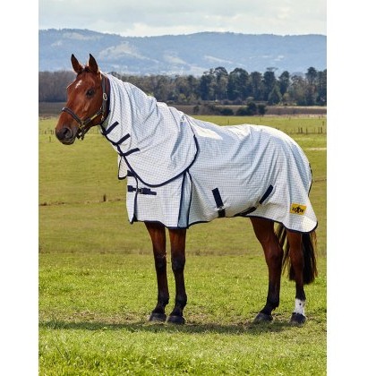 Saxon Kool Coat Classic W/ Surcingles Combo Saxon Kool Coat Classic W/ Surcingles Combo