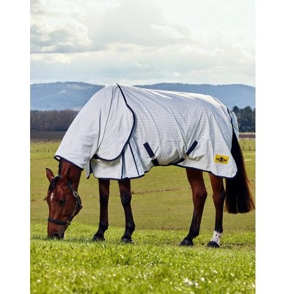 Saxon Kool Coat Classic W/ Surcingles Combo Saxon Kool Coat Classic W/ Surcingles Combo