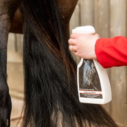 Smart Grooming Tame the Mane Smart Grooming Tame the Mane