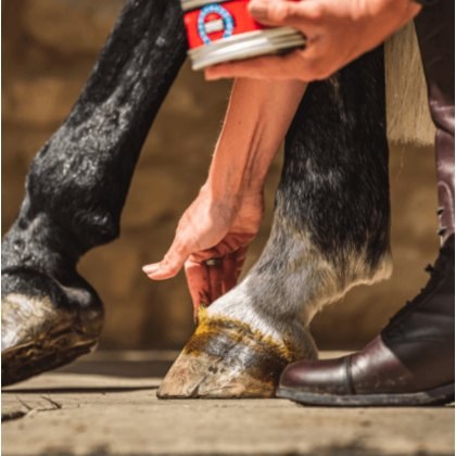 CDM Cornucrescine Original Hoof Ointment - Clear CDM Cornucrescine Original Hoof Ointment - Clear