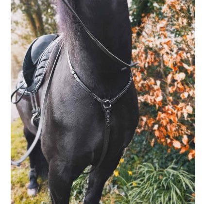 Ecorider Core Breastplate Ecorider Core Breastplate