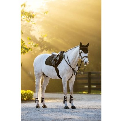 LeMieux Brilliance Close Contact Square - Black LeMieux Brilliance Close Contact Square - Black