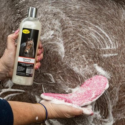 Smart Grooming Citronella Shampoo Smart Grooming Citronella Shampoo