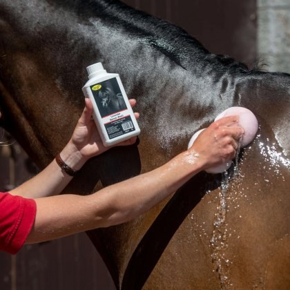 Smart Grooming Lavender Splosh Wash Smart Grooming Lavender Splosh Wash