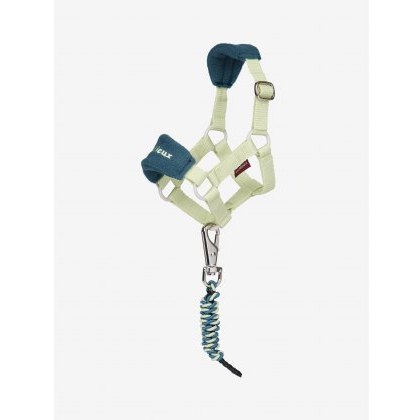 LeMieux Toy Pony Vogue Headcollar - Macaron LeMieux Toy Pony Vogue Headcollar - Macaron