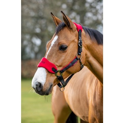 LeMieux Breakaway Vogue Headcollar - Chilli