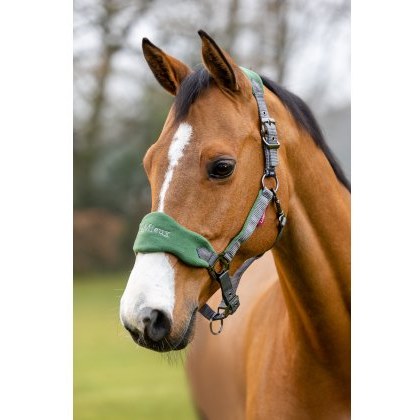 LeMieux Breakaway Vogue Headcollar - Hunter Green