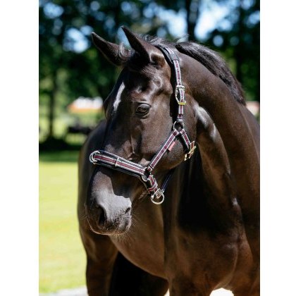LeMieux Cavesson Lunge Headcollar - Black