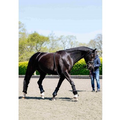 LeMieux Rope Lunging Aid
