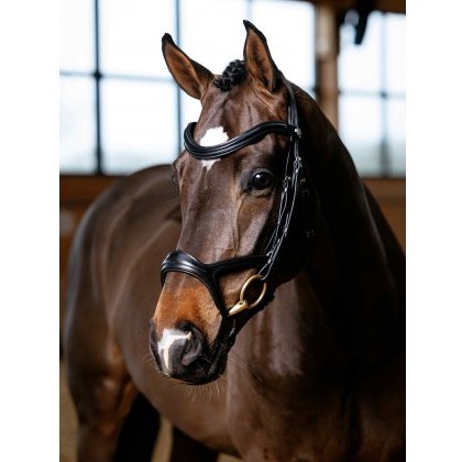 LeMieux Kudos Sport Bridle LeMieux Kudos Sport Bridle