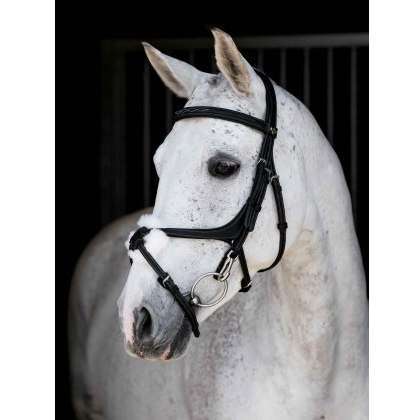 LeMieux Kudos Grackle Work Bridle LeMieux Kudos Grackle Work Bridle