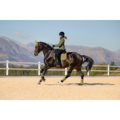 Suede Dressage Square - Gooseberry Suede Dressage Square - Gooseberry