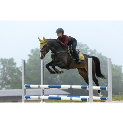 Loire Classic Close Contact Square - Gooseberry Loire Classic Close Contact Square - Gooseberry