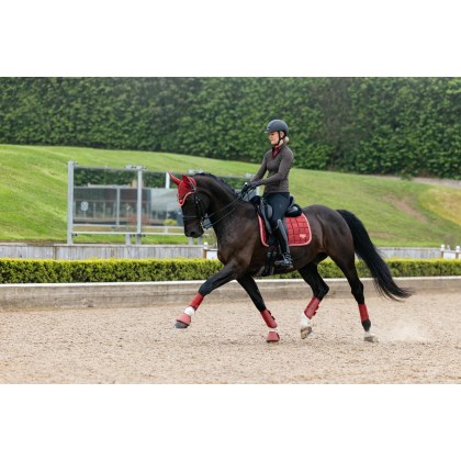 Loire Classic Dressage Square - Russet Loire Classic Dressage Square - Russet