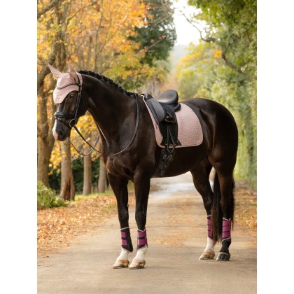Essence Dressage Square - Wild Rose Essence Dressage Square - Wild Rose