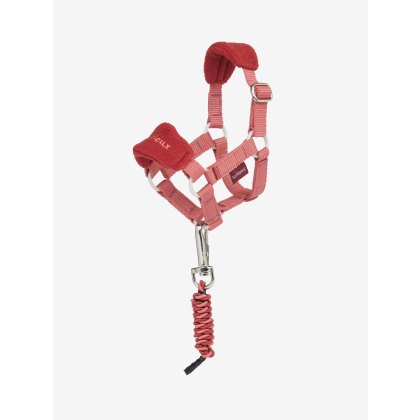 Toy Pony Vogue Headcollar & Leadrope - Spiced Earth Toy Pony Vogue Headcollar & Leadrope - Spiced Earth