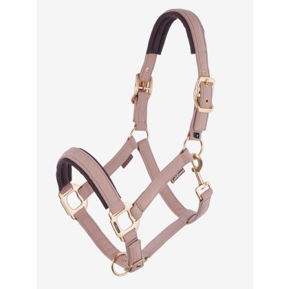 Essence Headcollar - Wild Rose