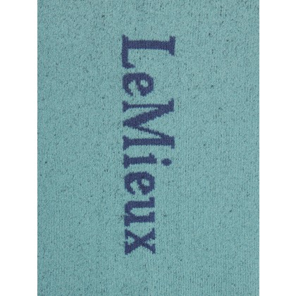 Competition Socks 2 pack - Aloe