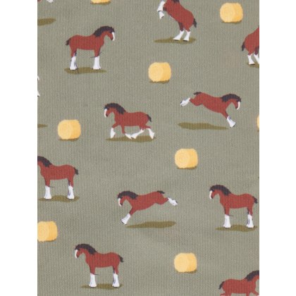 Footsie Socks - Clydesdale/Willow