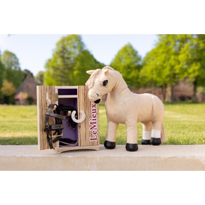 Toy Pony Tack Locker Wooden Toy Pony Tack Locker Wooden