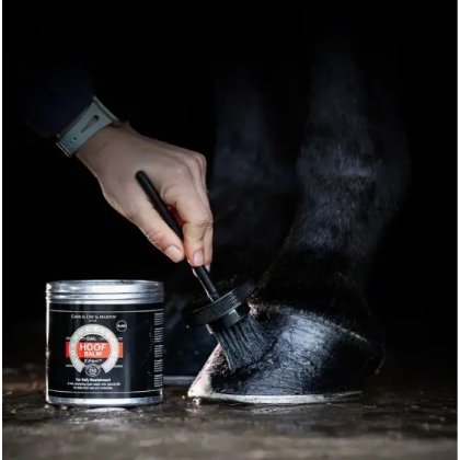Cornucrescine Hoof balm Black